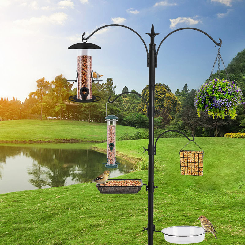 Red Barrel Studio® Premium Bird Feeding Station Kit,Bird Feeder Pole